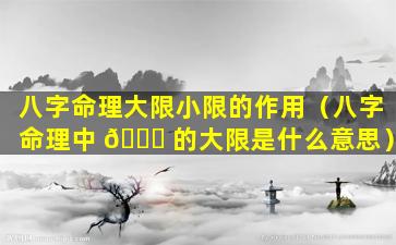八字命理大限小限的作用（八字命理中 🍁 的大限是什么意思）